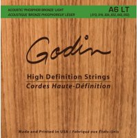 Godin Strings Acoustic Guitar LT