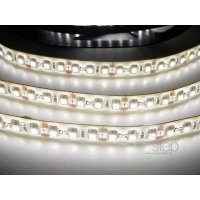 T-LED LED pásek zalitý SQ3-W600 - denní bílá