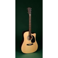 Sigma Guitars DMC-1STE