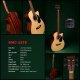 Sigma Guitars BMC-1STE - 1