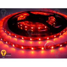 T-LED LED pásek vnitřní SQ3-300 - červená