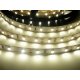 T-LED LED pásek SB3-300 vnitřní - denní bílá - 1