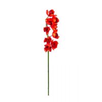 Europalms Orchidej větvička, červená, 90 cm