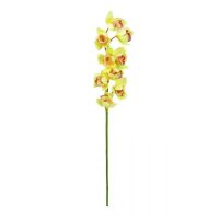 Europalms Orchidej větvička, žlutá, 90 cm
