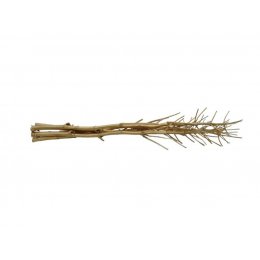 Europalms Suché větvičky fenyklu, zlatá, 160 cm