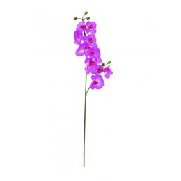 Europalms Orchidej větvička fialová, 100 cm