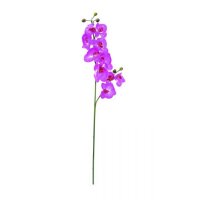 Europalms Orchidej větvička fialová, 100 cm