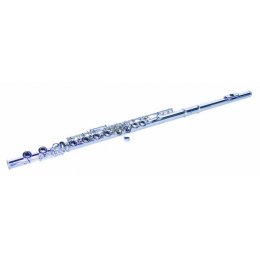 Dimavery QP-10 C flétna příčná, postříbřená, předsunutá G klapka...