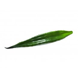 Europalms Aloe list zelený, 60 cm