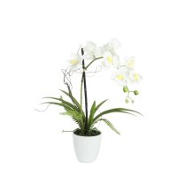 Europalms Orchidej bílá v dekoračním květináči, 62 cm