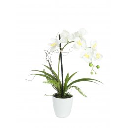 Europalms Orchidej bílá v dekoračním květináči, 62 cm