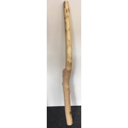 Tomáš Dufek didgeridoo