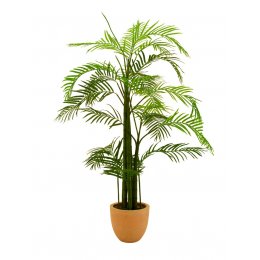 Europalms Areca palma, 110 cm