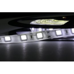 eLite LED páska SMD5050, bílá 8000K, 24V, 1m, IP54, 60 LED/m