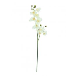 Europalms Orchidej větvička, krémově-bílá, 100 cm