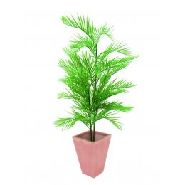 Europalms Kentia palma, 150 cm