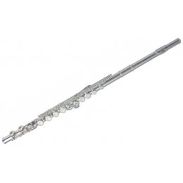 Armstrong Příčná flétna FL650E