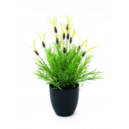 Europalms Květináč s bylinkami, 40 cm