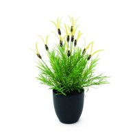 Europalms Květináč s bylinkami, 40 cm