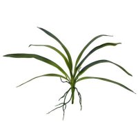 Europalms Orchidej listy, zelené, 45 cm