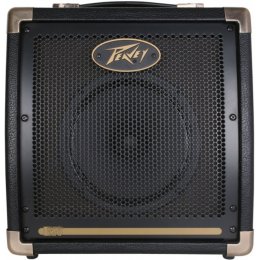 Peavey ECOUSTIC 20