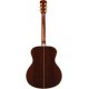 Arrow Platinum A SIT/RW Sitka/Rosewood - 6