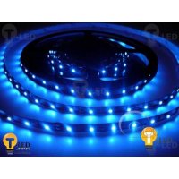 LED pásek vnitřní SQ3-300 - modrá