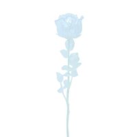 Europalms Růže čirá, křišťálová 81cm, 12ks