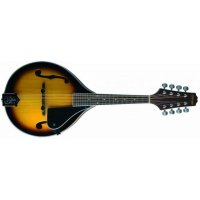 Stagg M40 S, bluegrassová mandolína, masiv