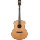 Arrow Platinum A SIT/RW Sitka/Rosewood - 1