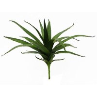 Europalms Aloe vera zelená, 50 cm