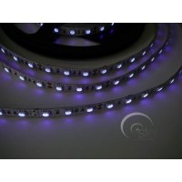 LED pásky UV