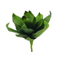 Europalms Agáve zelená, 45 cm
