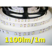 T-LED LED pásek SB3-300 vnitřní - denní bílá