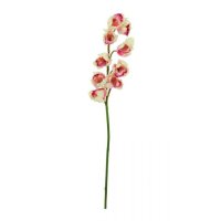 Europalms Orchidej větvička, krémově růžová, 90 cm